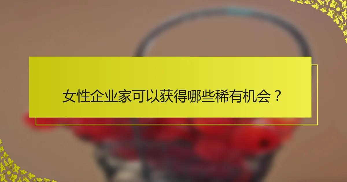 女性企业家可以获得哪些稀有机会？